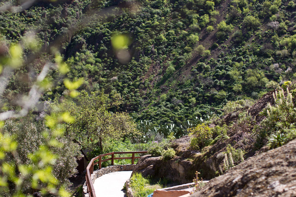 Casas Rurales De Guayadeque Инхенио Экстерьер фото